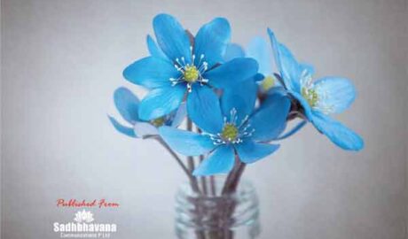 കോഴിക്കോടിന്റെ സമ്പൂർണ്ണ വിവരങ്ങളടങ്ങിയ ടെലിഫോൺ ഡയറക്ടറി പുറത്തിറക്കി