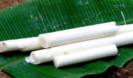 വാഴപ്പിണ്ടി കളയണോ? വാഴപ്പിണ്ടിയുടെ ആരോഗ്യ ഗുണങ്ങള്‍ !