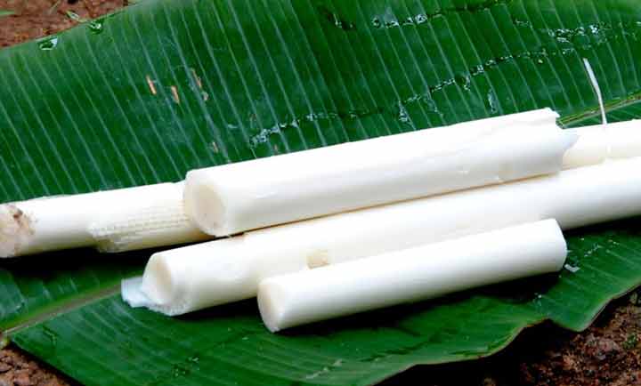 വാഴപ്പിണ്ടി കളയണോ? വാഴപ്പിണ്ടിയുടെ ആരോഗ്യ ഗുണങ്ങള്‍ !