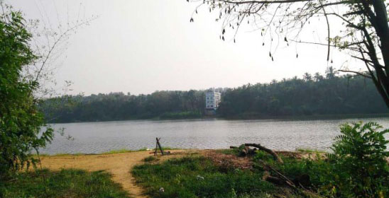 കൂളിമാട് കടവ് പാലം പ്രവൃത്തി ഉദ്ഘാടനം ഇന്ന്