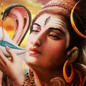 ഭക്തിയുടെ നിറവില് ഇന്ന് മഹാ ശിവരാത്രി ഭക്തിയുടെ നിറവില് ഇന്ന് മഹാ ശിവരാത്രി