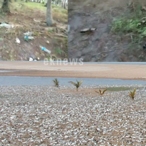 കെട്ടുങ്ങൽ ബീച്ച് പരിസരത്ത് ലഹരി മാഫിയ വിളയാട്ടം കെട്ടുങ്ങൽ ബീച്ച് പരിസരത്ത് ലഹരി മാഫിയ വിളയാട്ടം