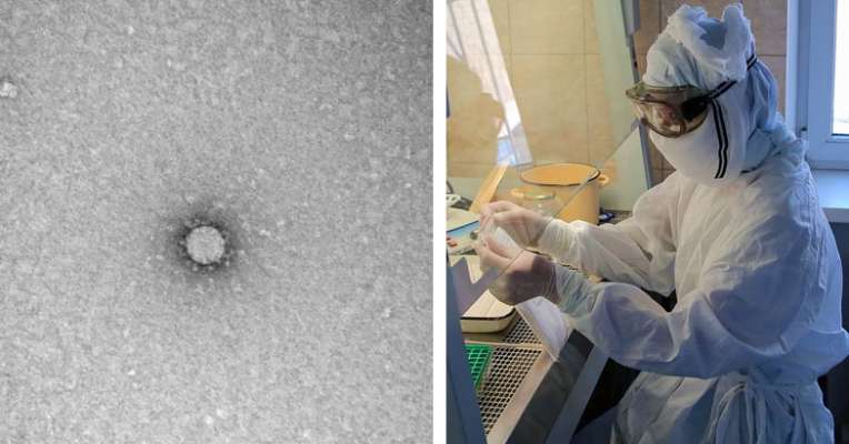 4 മണിക്കൂറിൽ ഫലമറിയാം; മഞ്ചേരിയിൽ കോവിഡ് ലാബ്‌