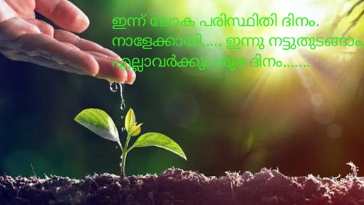പരിസ്ഥിതി ദിനം ആചരിച്ചു പരിസ്ഥിതി ദിനം ആചരിച്ചു