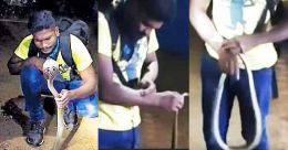 പിടികൂടിയ മൂർഖന്റെ കടിയേറ്റിട്ടും കാഴ്ചക്കാർക്കു വേണ്ടി പ്രദർശിപ്പിക്കുന്നതിനിടെ പാമ്പുപിടിത്തക്കാരൻ മരിച്ചു
