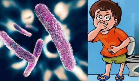 കോഴിക്കോട് വീണ്ടും ഷിഗെല്ല; രോഗബാധ ഏഴ് വയസുകാരന്