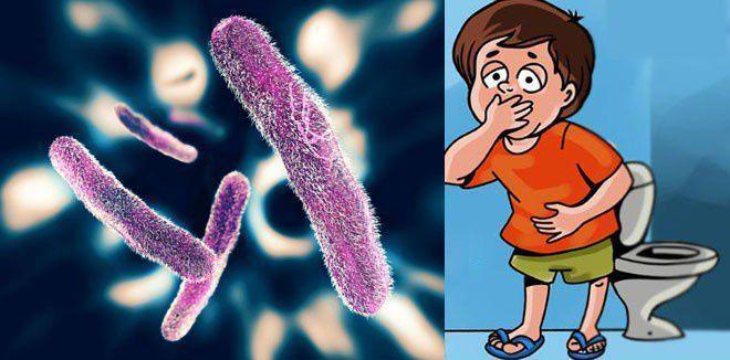 കോഴിക്കോട് മായനാട്ട് രണ്ടു കിണറുകളിൽ ഷിഗെല്ല ബാക്ടീരിയ സാന്നിധ്യം