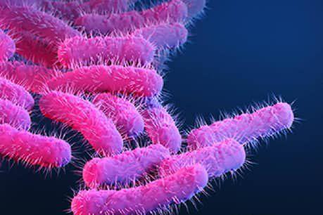 മലപ്പുറത്ത് നാല് കുട്ടികള്‍ക്ക് ഷിഗല്ല സ്ഥിരീകരിച്ചു