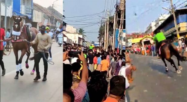 കോവിഡ് നിയന്ത്രണങ്ങള് ലംഘിച്ച് പാലക്കാട് കുതിരയോട്ടം; കുതിര ജനങ്ങള്ക്കിടയിലേക്ക് പാഞ്ഞുകയറി” സംഘാടകർക്കെതിരേ കേസ് കോവിഡ് നിയന്ത്രണങ്ങള് ലംഘിച്ച് പാലക്കാട് കുതിരയോട്ടം; കുതിര ജനങ്ങള്ക്കിടയിലേക്ക് പാഞ്ഞുകയറി” സംഘാടകർക്കെതിരേ കേസ്