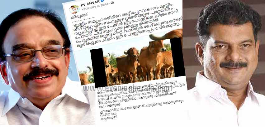 മുസ്ലിംലീഗിനെ ‘മൂരി’യോട് ഉപമിച്ച ഇടത് എം.എല്.എ. പി.വി. അന്വറിന് അതേ നാണയത്തില് തിരിച്ചടി നല്കി പി.കെ. അബ്ദുറബ്ബ് മുസ്ലിംലീഗിനെ ‘മൂരി’യോട് ഉപമിച്ച ഇടത് എം.എല്.എ. പി.വി. അന്വറിന് അതേ നാണയത്തില് തിരിച്ചടി നല്കി പി.കെ. അബ്ദുറബ്ബ്