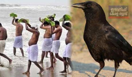 വിശ്വാസം അതാണ് എല്ലാം ; ബലി സ്വീകരിക്കാന്‍ പൂര്‍വ്വികരെത്തും ”കര്‍ക്കിടക വാവില്‍ പിതൃമോക്ഷത്തിന്