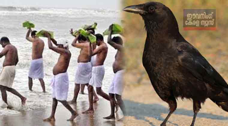 വിശ്വാസം അതാണ് എല്ലാം ; ബലി സ്വീകരിക്കാന് പൂര്വ്വികരെത്തും ”കര്ക്കിടക വാവില് പിതൃമോക്ഷത്തിന് വിശ്വാസം അതാണ് എല്ലാം ; ബലി സ്വീകരിക്കാന് പൂര്വ്വികരെത്തും ”കര്ക്കിടക വാവില് പിതൃമോക്ഷത്തിന്