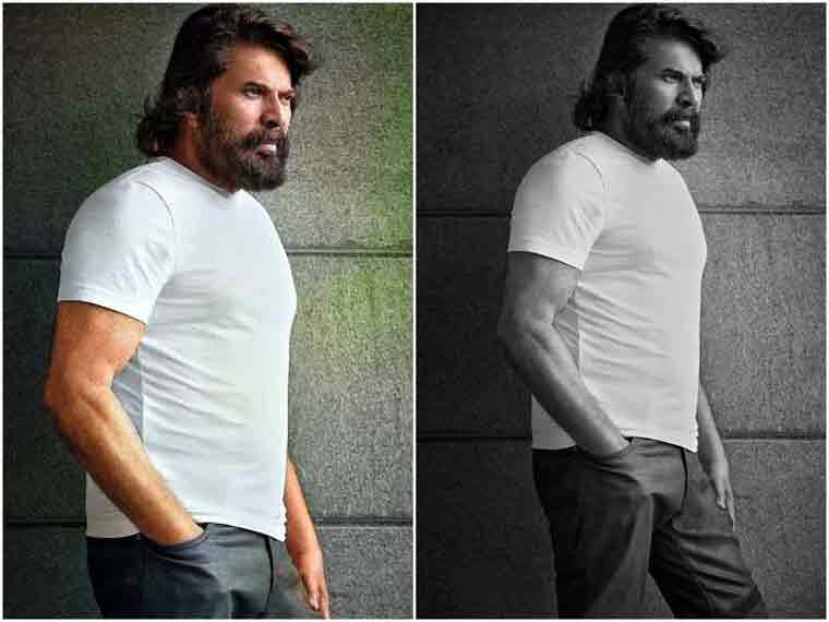 ഈ പ്രായത്തിലും ഇത്ര കിടിലൻ ലുക്കോ?? ചെറുപ്പക്കാരെ ഈഗോയടിപ്പിച്ച് മമ്മൂട്ടിയുടെ പുതിയ ഫോട്ടോഷൂട്ട് ഈ പ്രായത്തിലും ഇത്ര കിടിലൻ ലുക്കോ?? ചെറുപ്പക്കാരെ ഈഗോയടിപ്പിച്ച് മമ്മൂട്ടിയുടെ പുതിയ ഫോട്ടോഷൂട്ട്