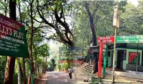 കനോലി പ്ലോട്ടിൽ വനം വകുപ്പ് സഞ്ചാരികളെ കൊള്ളയടിക്കുന്നു !