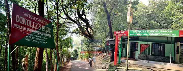 കനോലി പ്ലോട്ടിൽ വനം വകുപ്പ് സഞ്ചാരികളെ കൊള്ളയടിക്കുന്നു !