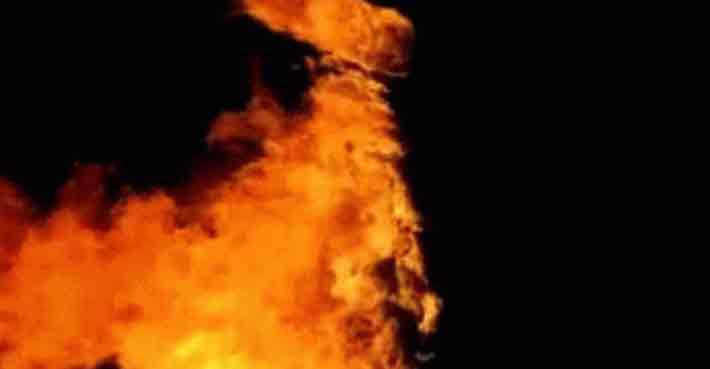 കനത്ത ചൂടിനൊപ്പം വാളയാറിൽ കാട്ടുതീ; 3 കി.മി കാട് കത്തി നശിച്ചു