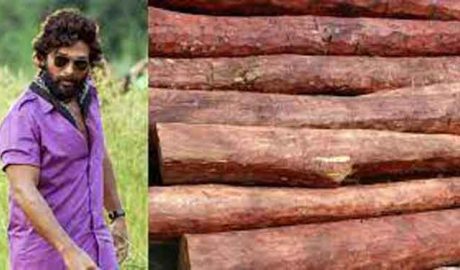 ‘പുഷ്പ’ പ്രചോദനമായി; 2.45 കോടിയുടെ രക്തചന്ദനം കടത്തിയ ഡ്രൈവര്‍ പിടിയില്‍