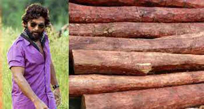 ‘പുഷ്പ’ പ്രചോദനമായി; 2.45 കോടിയുടെ രക്തചന്ദനം കടത്തിയ ഡ്രൈവര്‍ പിടിയില്‍