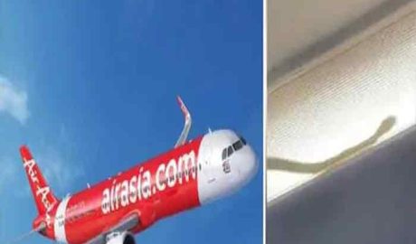 വിമാനത്തിനുള്ളില്‍ പാമ്പ്;  യാത്രക്കാര്‍ പരിഭ്രാന്തരായതിനെ തുടർന്ന്  വിമാനം താഴെയിറക്കി