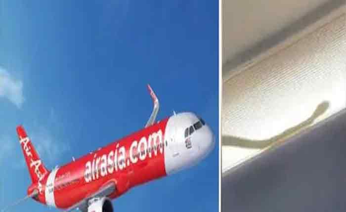 വിമാനത്തിനുള്ളില്‍ പാമ്പ്;  യാത്രക്കാര്‍ പരിഭ്രാന്തരായതിനെ തുടർന്ന്  വിമാനം താഴെയിറക്കി