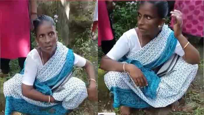 നാടോടി സ്ത്രീ ഭിക്ഷ യാചിച്ചെത്തി; പിന്നാലെ നാലുവയസുകാരനെ എടുത്ത് ഓടി; പിടികൂടി തൊഴിലുറപ്പ് തൊഴിലാളികൾ