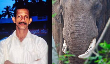 വീണ്ടും കാട്ടാനക്കലി; തൃശൂരിൽ വയോധികനെ ചവിട്ടിക്കൊന്നു
