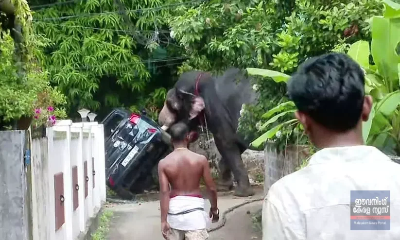 ജനവാസമേഖലയിൽ പരിഭ്രാന്തി സൃഷ്ടിച്ച കൊമ്പനെ തളച്ചു; പട്ടിയെ കണ്ട് ഭയപ്പെട്ടെന്ന് പാപ്പാൻ , ഇടയാൻ കാരണം പാപ്പന്റെ മർദ്ദനമാണെന്ന് നാട്ടുകാർ ജനവാസമേഖലയിൽ പരിഭ്രാന്തി സൃഷ്ടിച്ച കൊമ്പനെ തളച്ചു; പട്ടിയെ കണ്ട് ഭയപ്പെട്ടെന്ന് പാപ്പാൻ , ഇടയാൻ കാരണം പാപ്പന്റെ മർദ്ദനമാണെന്ന് നാട്ടുകാർ