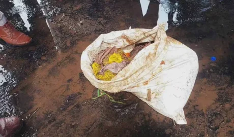 പമ്പയാറ്റിൽ ചാക്കിൽ കെട്ടിയ നിലയിൽ അസ്ഥികൂടം കണ്ടെത്തി; ഒപ്പം പൂജാസാധനങ്ങളും