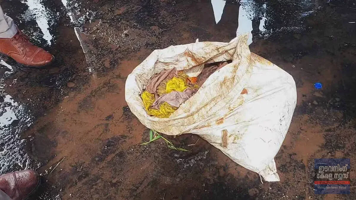 പമ്പയാറ്റിൽ ചാക്കിൽ കെട്ടിയ നിലയിൽ അസ്ഥികൂടം കണ്ടെത്തി; ഒപ്പം പൂജാസാധനങ്ങളും