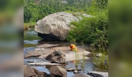 ചാക്കില്‍ പെണ്‍കുട്ടിയുടെ തലയില്ലാത്ത ഉടല്‍, അട്ടപ്പാടിയില്‍ സ്ത്രീയുടെയും കുഞ്ഞിന്‍റെയും മൃതദേഹ ഭാഗങ്ങള്‍ കണ്ടെത്തി