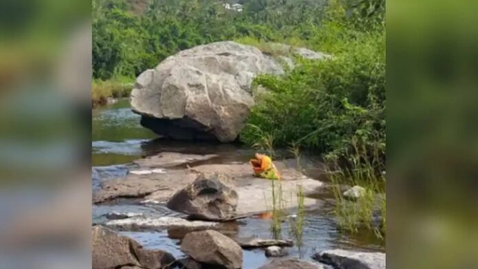 ചാക്കില്‍ പെണ്‍കുട്ടിയുടെ തലയില്ലാത്ത ഉടല്‍, അട്ടപ്പാടിയില്‍ സ്ത്രീയുടെയും കുഞ്ഞിന്‍റെയും മൃതദേഹ ഭാഗങ്ങള്‍ കണ്ടെത്തി